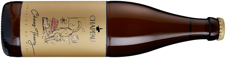 Chaos Theory Chaos Theory