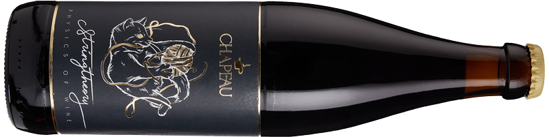 Stringtheory Stringtheory